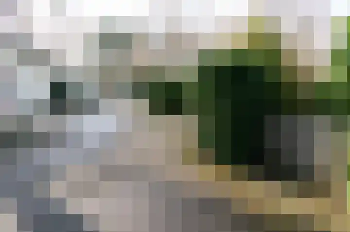 Lange Zuiderweg 142 950 Voorthuizen thumbnail 24
