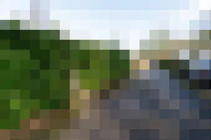 Lange Zuiderweg 142 950 Voorthuizen thumbnail 25