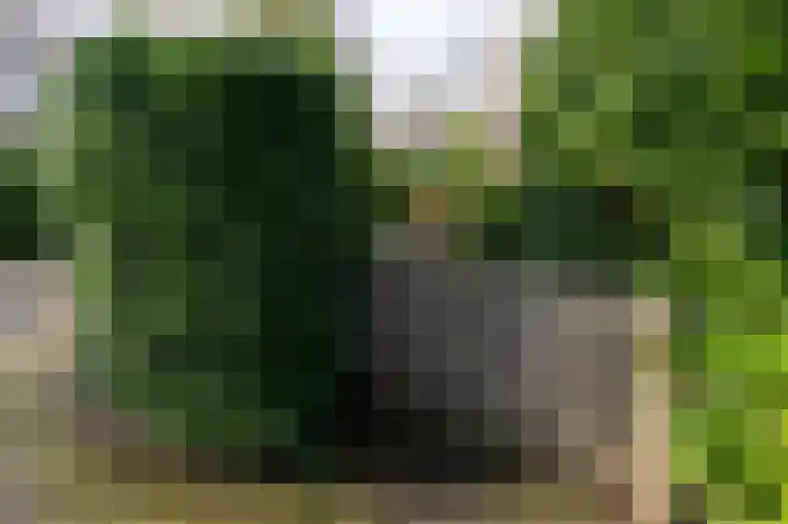 Lange Zuiderweg 142 950 Voorthuizen thumbnail 26