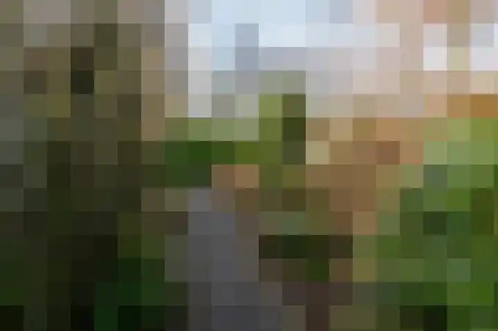 Lange Zuiderweg 142 950 Voorthuizen thumbnail 27