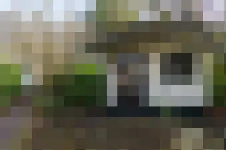 Lange Zuiderweg 142 950 Voorthuizen thumbnail 29