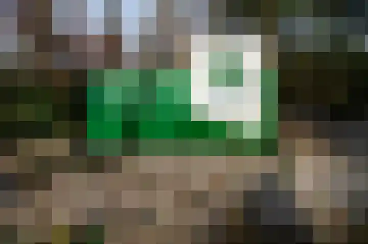Lange Zuiderweg 142 950 Voorthuizen thumbnail 31