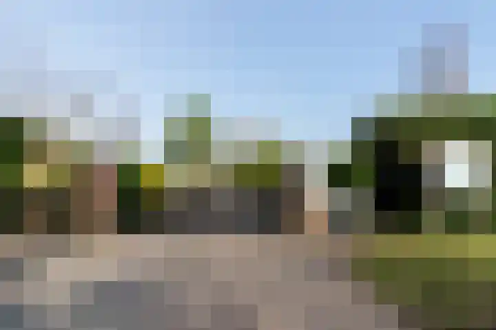 Lange Zuiderweg 142 950 Voorthuizen thumbnail 32
