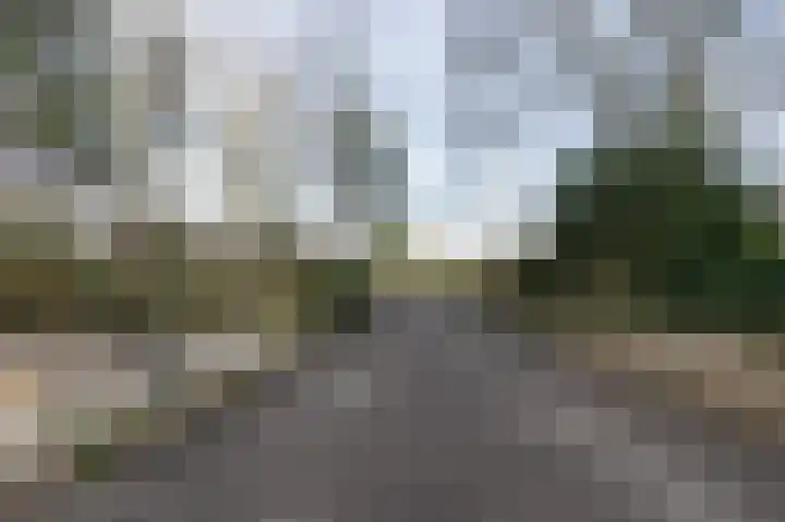 Lange Zuiderweg 142 950 Voorthuizen thumbnail 33