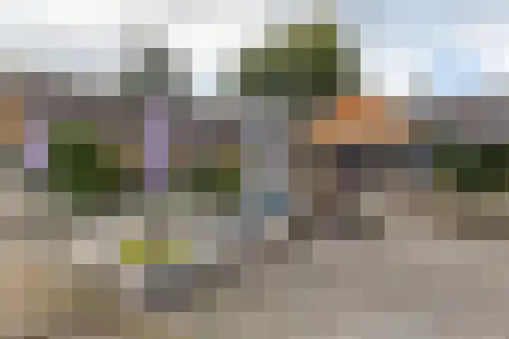 Lange Zuiderweg 142 950 Voorthuizen thumbnail 35