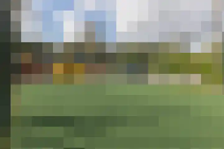 Lange Zuiderweg 142 950 Voorthuizen thumbnail 37