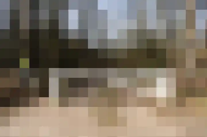 Lange Zuiderweg 142 950 Voorthuizen thumbnail 39