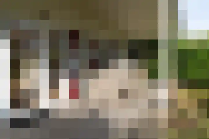 Lange Zuiderweg 142 950 Voorthuizen thumbnail 4