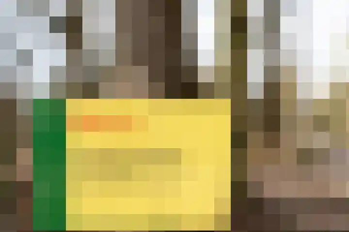 Lange Zuiderweg 142 950 Voorthuizen thumbnail 41