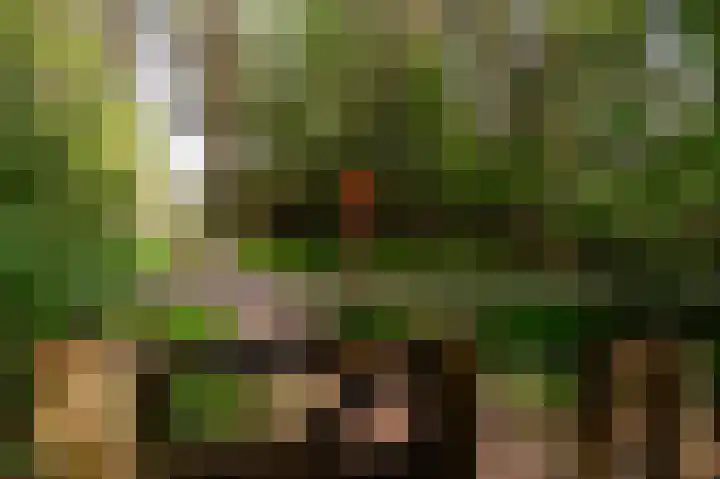 Lange Zuiderweg 142 950 Voorthuizen thumbnail 42