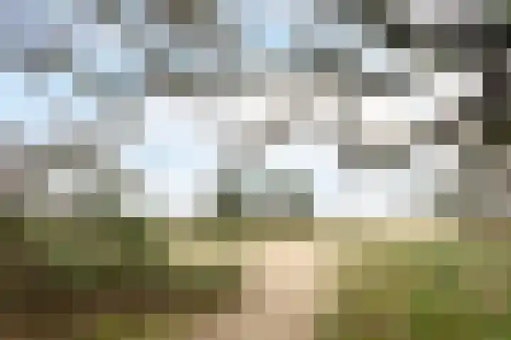 Lange Zuiderweg 142 950 Voorthuizen thumbnail 43