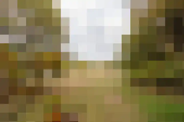 Lange Zuiderweg 142 950 Voorthuizen thumbnail 44