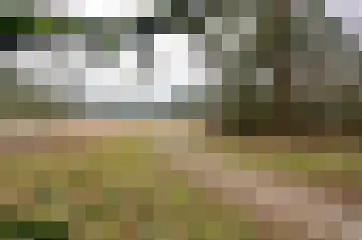 Lange Zuiderweg 142 950 Voorthuizen thumbnail 45