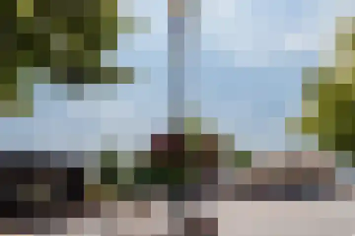 Lange Zuiderweg 142 950 Voorthuizen thumbnail 49