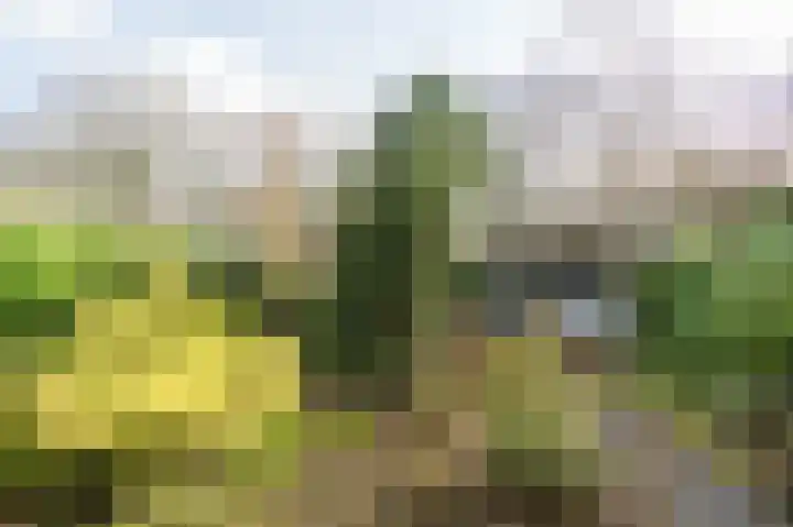 Lange Zuiderweg 142 950 Voorthuizen thumbnail 5