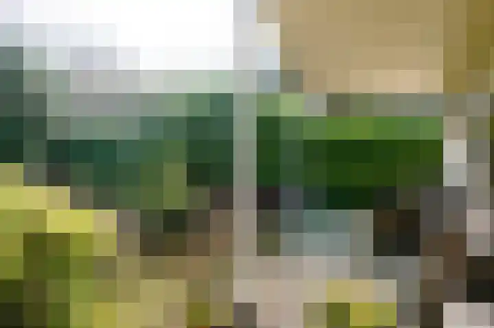 Lange Zuiderweg 142 950 Voorthuizen thumbnail 6