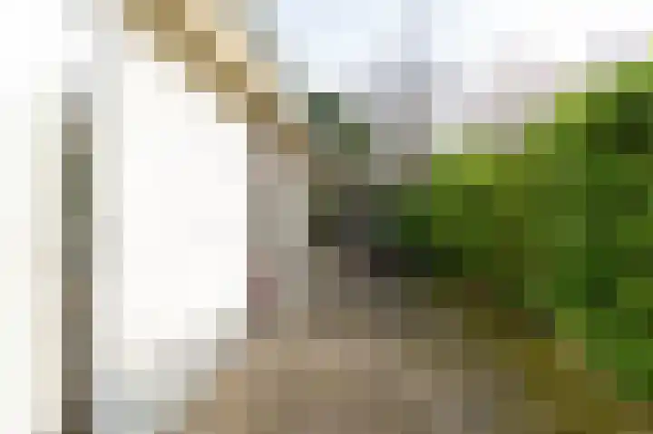 Lange Zuiderweg 142 950 Voorthuizen thumbnail 7