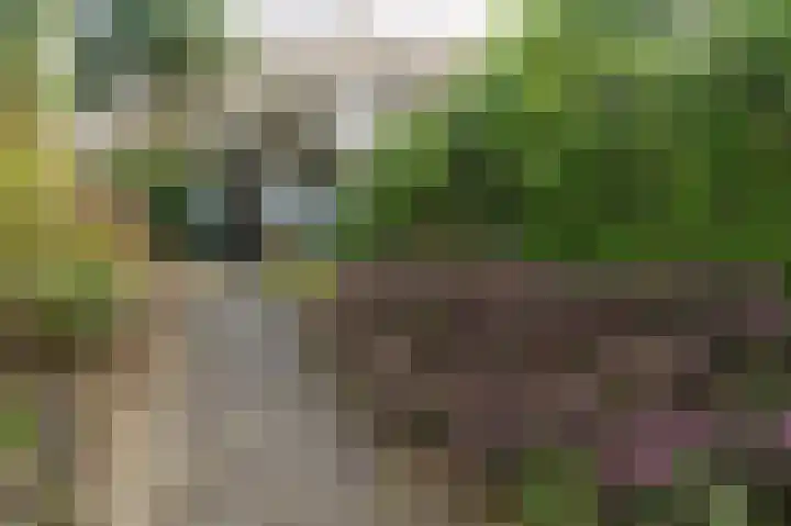Lange Zuiderweg 142 950 Voorthuizen thumbnail 8