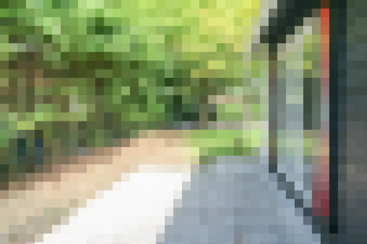 Lange Zuiderweg 142 976 Voorthuizen thumbnail 31