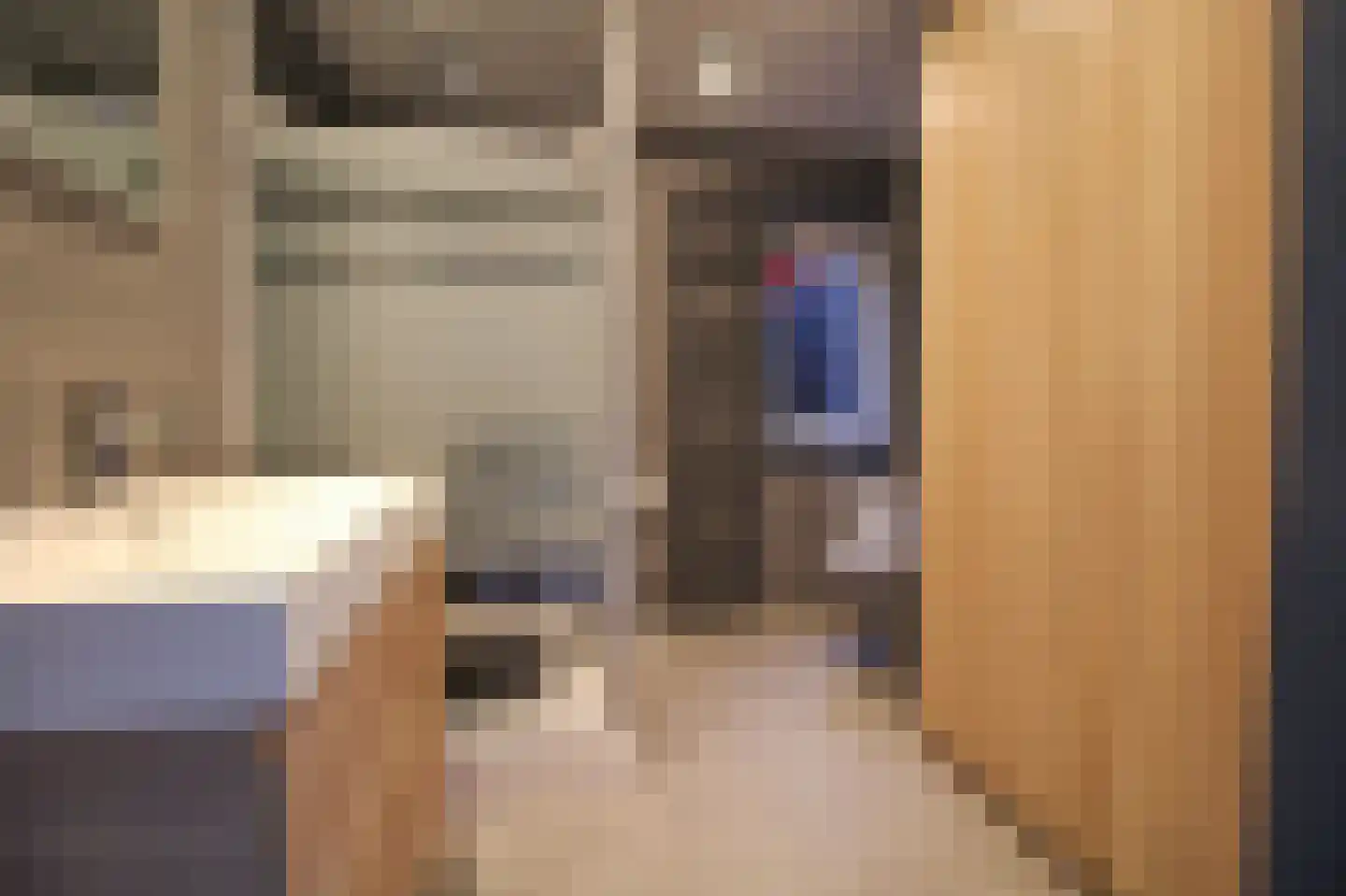 Lange Zuiderweg 142 979 Voorthuizen thumbnail 16