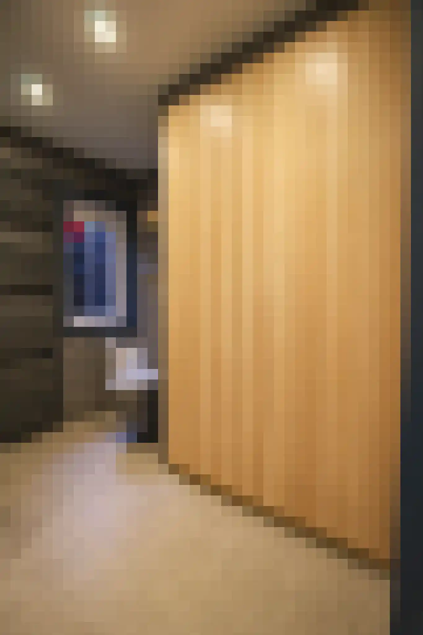 Lange Zuiderweg 142 979 Voorthuizen thumbnail 19