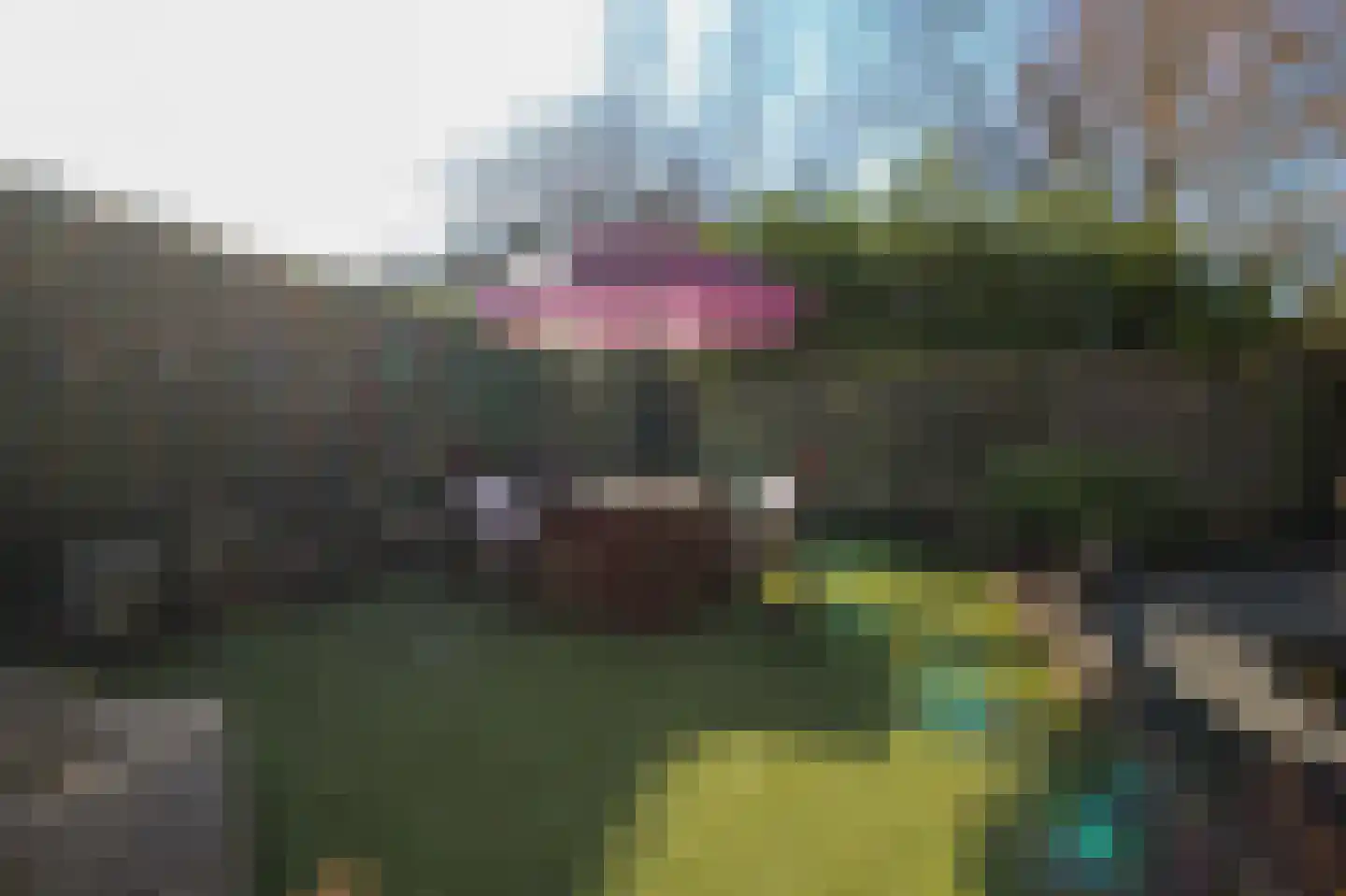 Lange Zuiderweg 142 979 Voorthuizen thumbnail 37