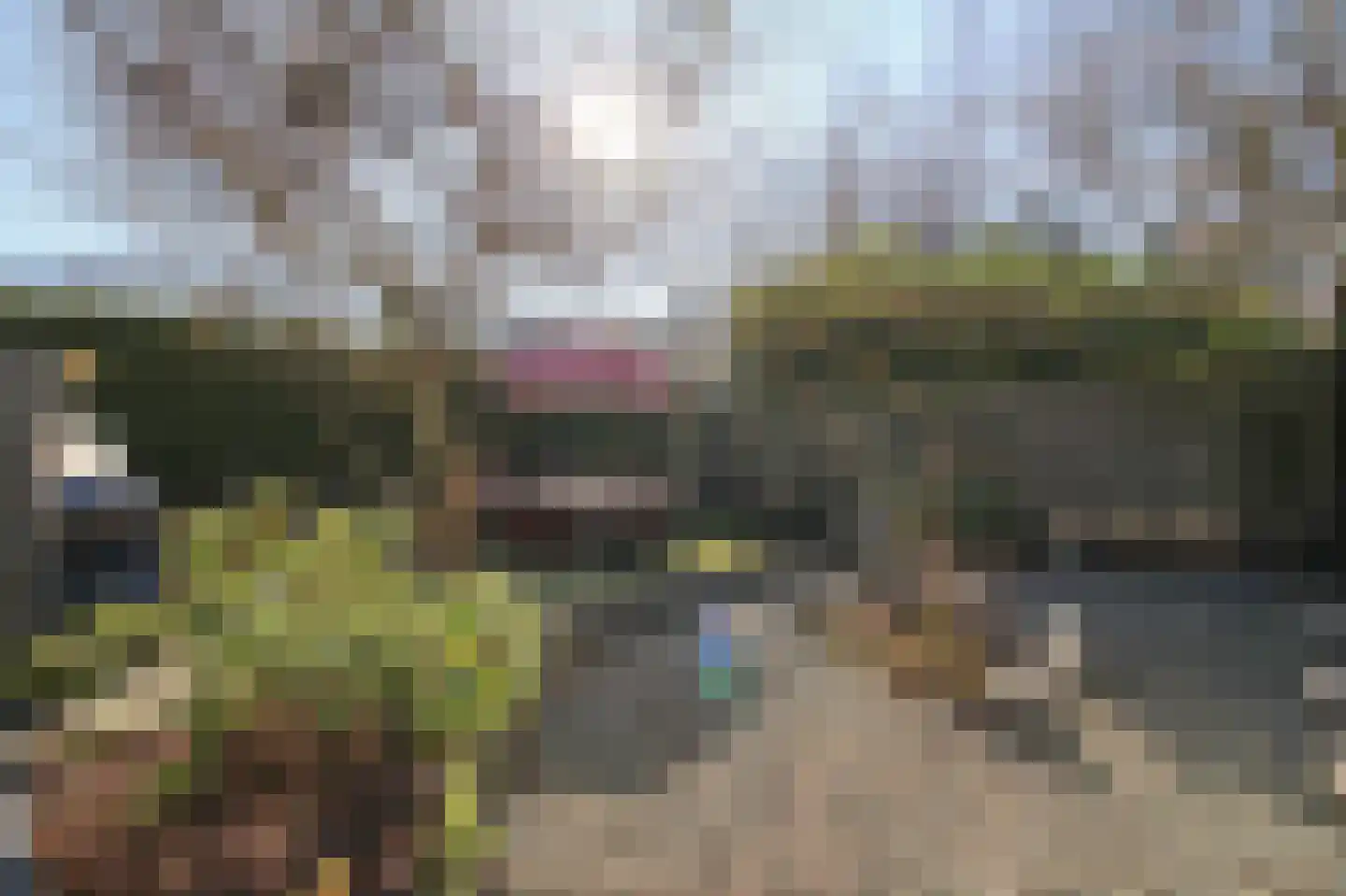 Lange Zuiderweg 142 979 Voorthuizen thumbnail 38