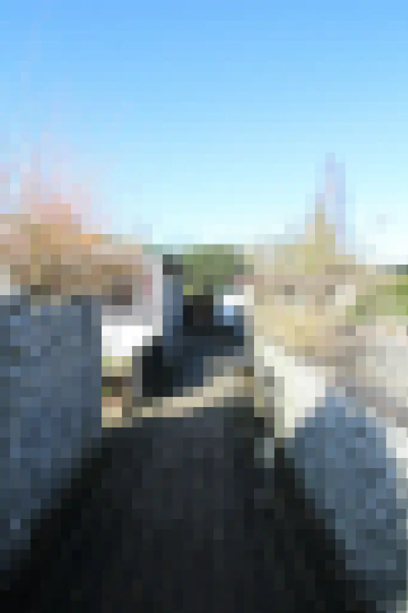 Lange Zuiderweg 142 979 Voorthuizen thumbnail 48