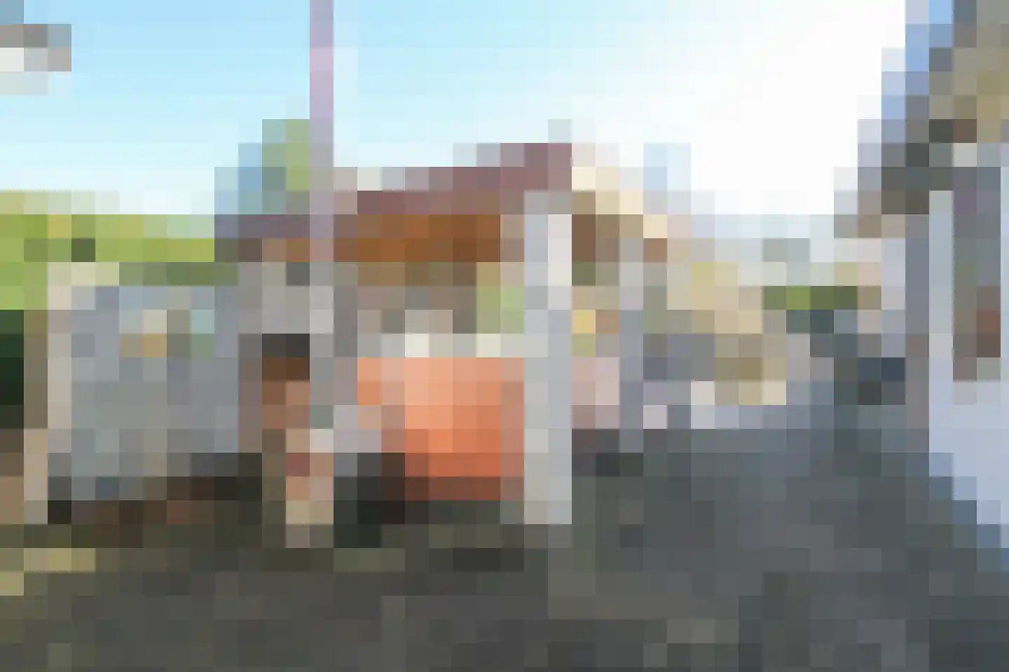 Lange Zuiderweg 142 979 Voorthuizen thumbnail 49