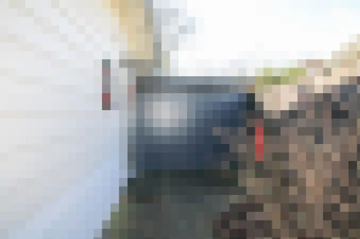 Lange Zuiderweg 142 979 Voorthuizen thumbnail 57
