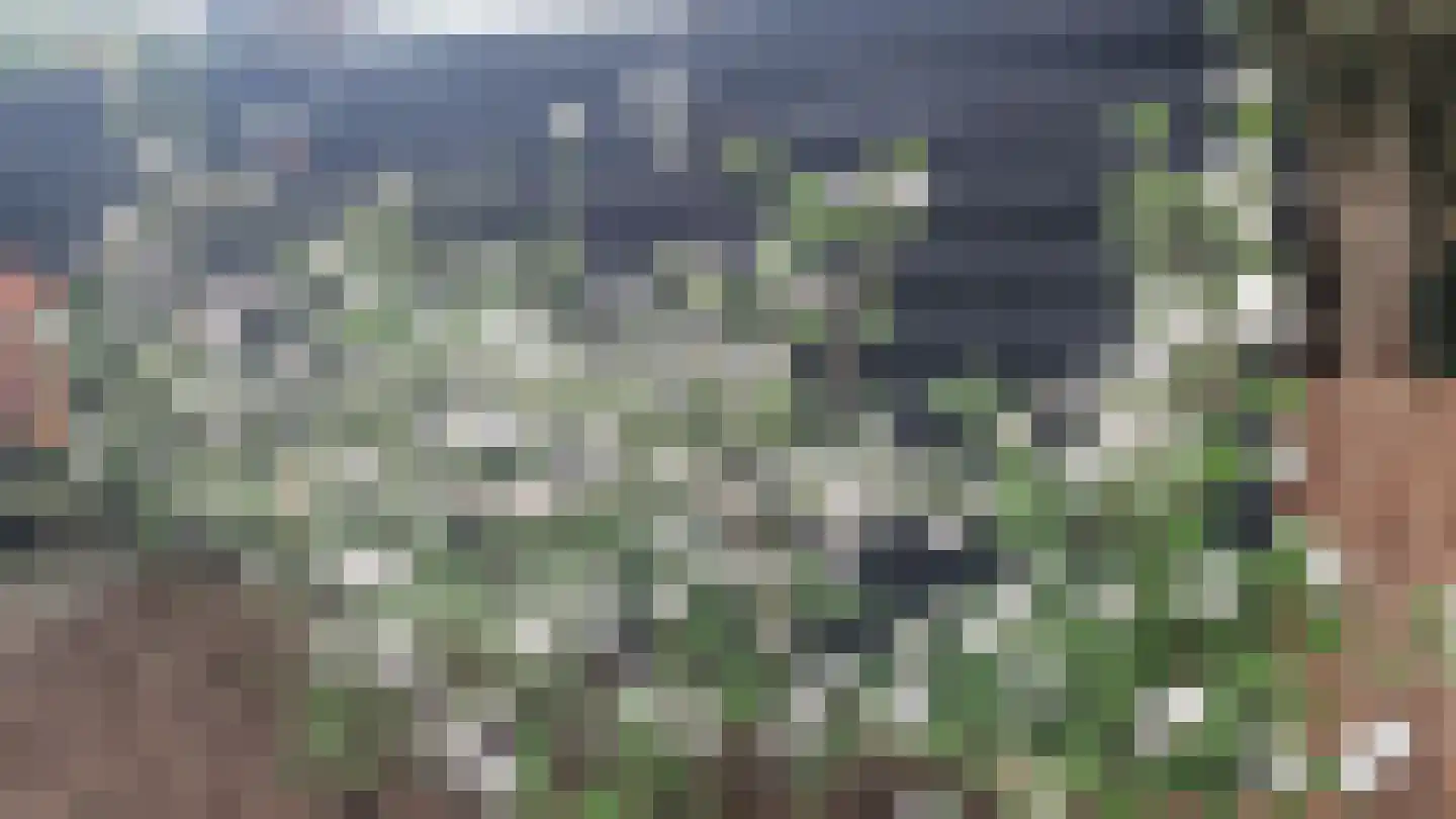 Lange Zuiderweg 142 979 Voorthuizen thumbnail 63