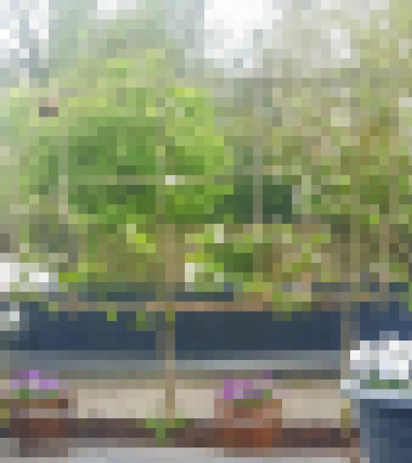 Lange Zuiderweg 142 979 Voorthuizen thumbnail 64