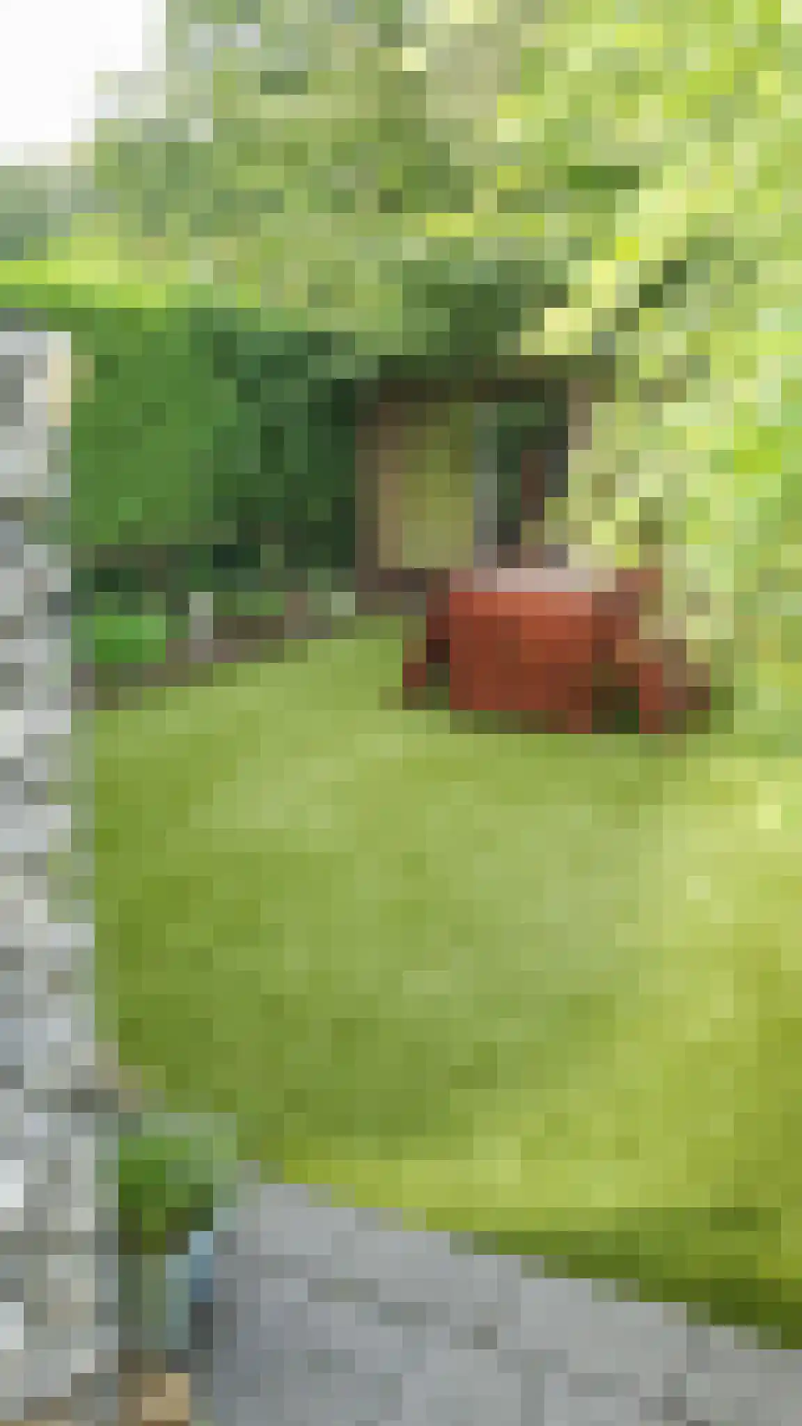 Lange Zuiderweg 142 979 Voorthuizen thumbnail 65