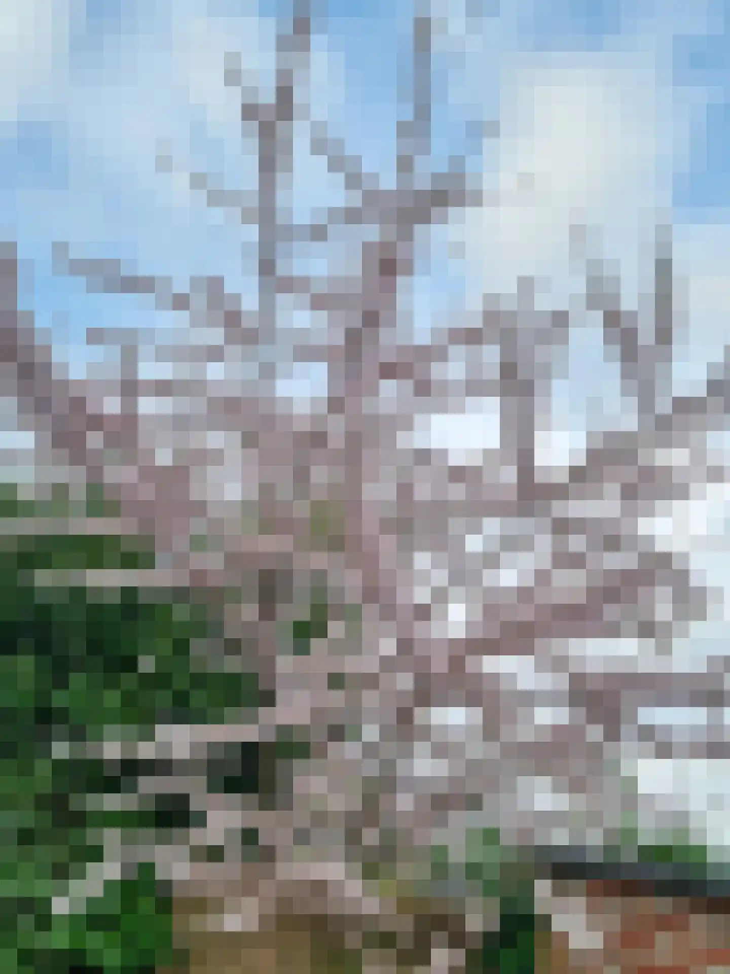 Lange Zuiderweg 142 979 Voorthuizen thumbnail 68