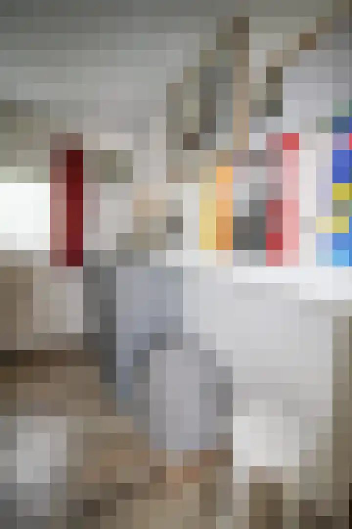 Lange Zuiderweg 142 997 Voorthuizen thumbnail 17