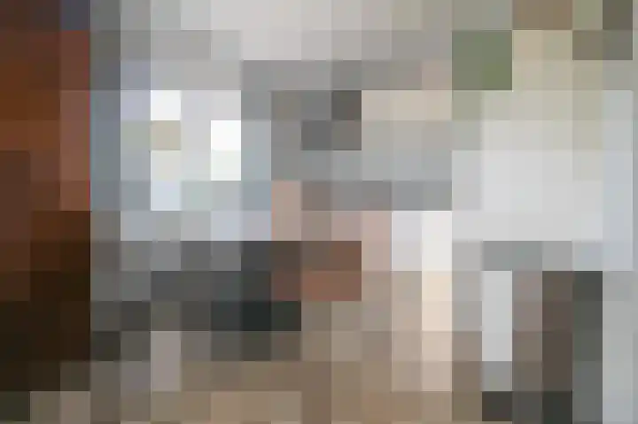 Lange Zuiderweg 142 997 Voorthuizen thumbnail 18