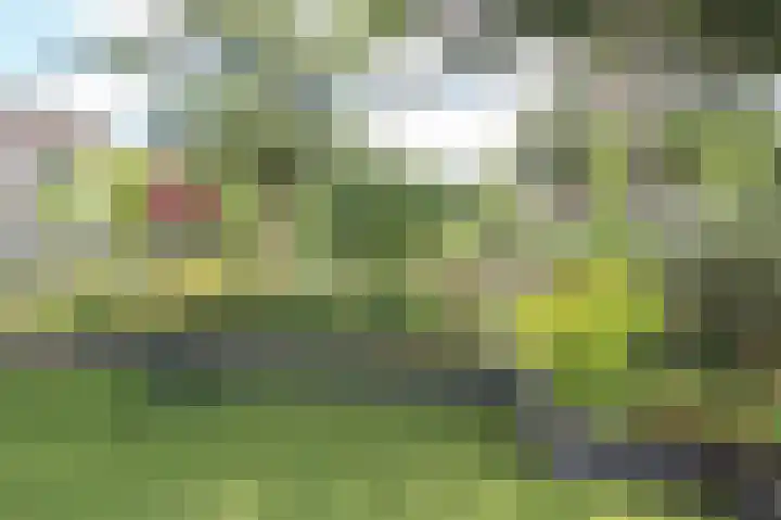 Lange Zuiderweg 142 997 Voorthuizen thumbnail 33