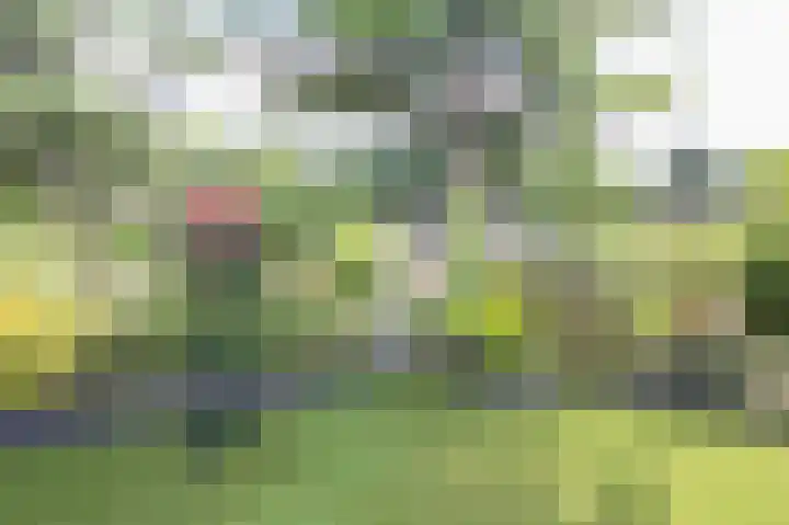 Lange Zuiderweg 142 997 Voorthuizen thumbnail 34