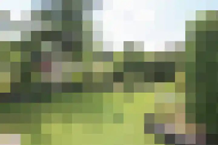 Lange Zuiderweg 142 997 Voorthuizen thumbnail 35