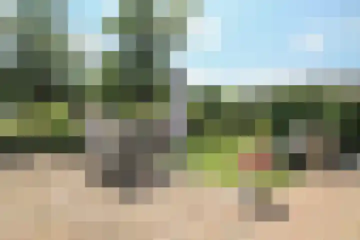 Lange Zuiderweg 142 997 Voorthuizen thumbnail 39