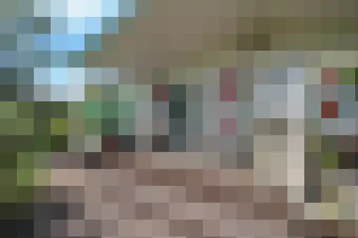 Lange Zuiderweg 142 997 Voorthuizen thumbnail 43