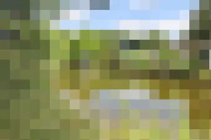 Lange Zuiderweg 142 997 Voorthuizen thumbnail 45