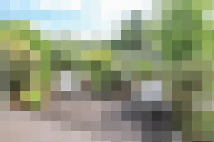 Lange Zuiderweg 142 997 Voorthuizen thumbnail 48