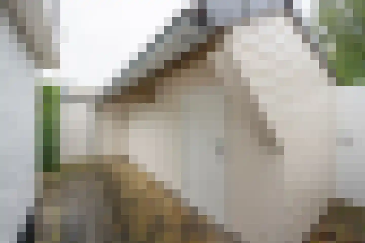 Lange Zuiderweg 150 10 Voorthuizen thumbnail 21