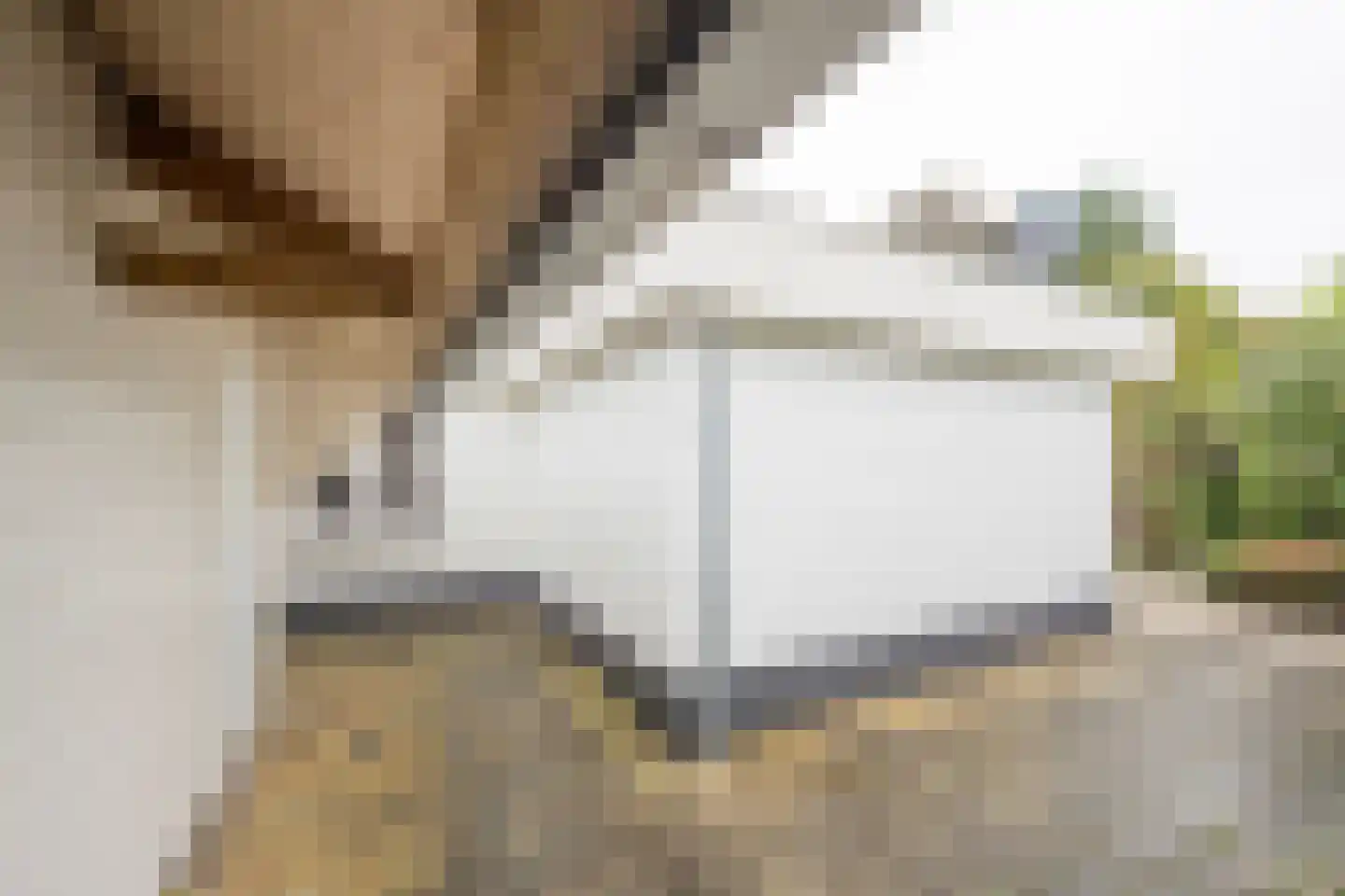 Lange Zuiderweg 150 10 Voorthuizen thumbnail 22