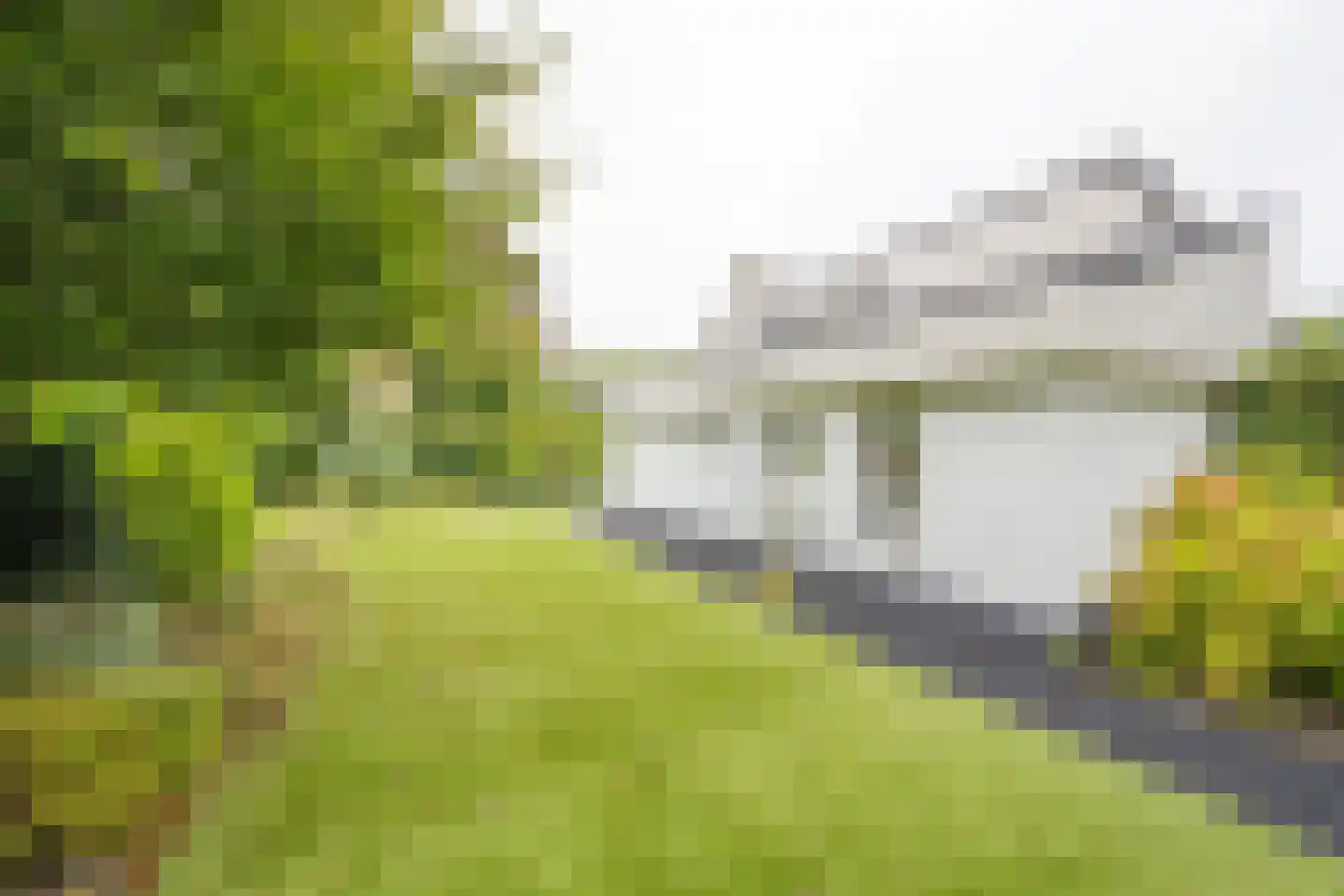 Lange Zuiderweg 150 10 Voorthuizen thumbnail 4