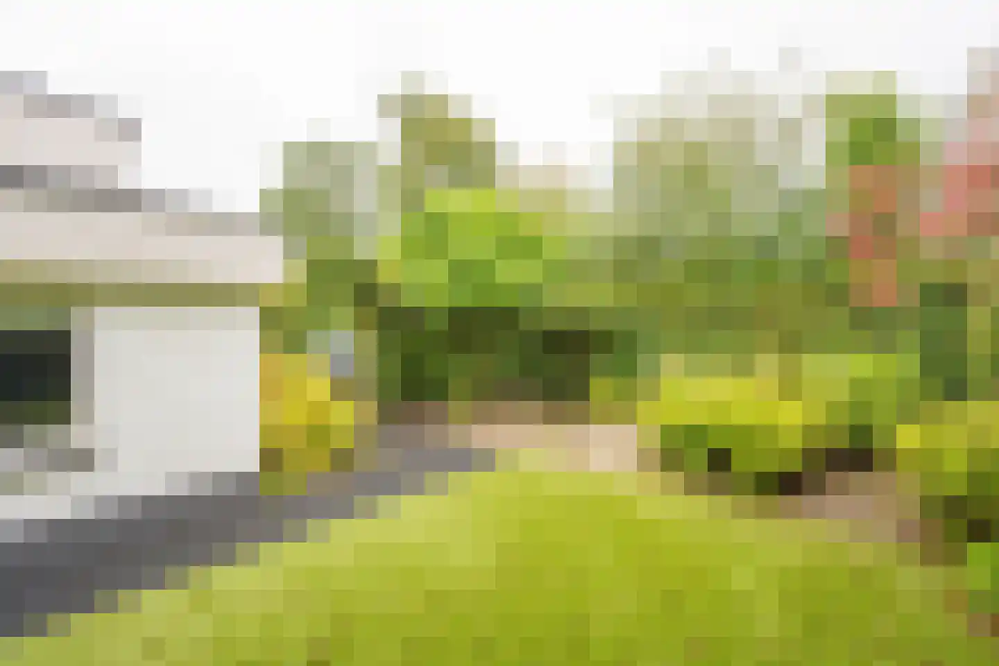 Lange Zuiderweg 150 10 Voorthuizen thumbnail 5