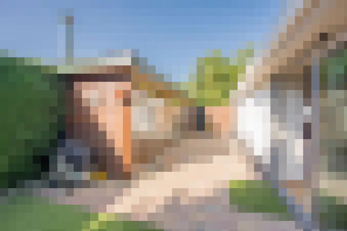 Lange Zuiderweg 150 35 Voorthuizen thumbnail 12