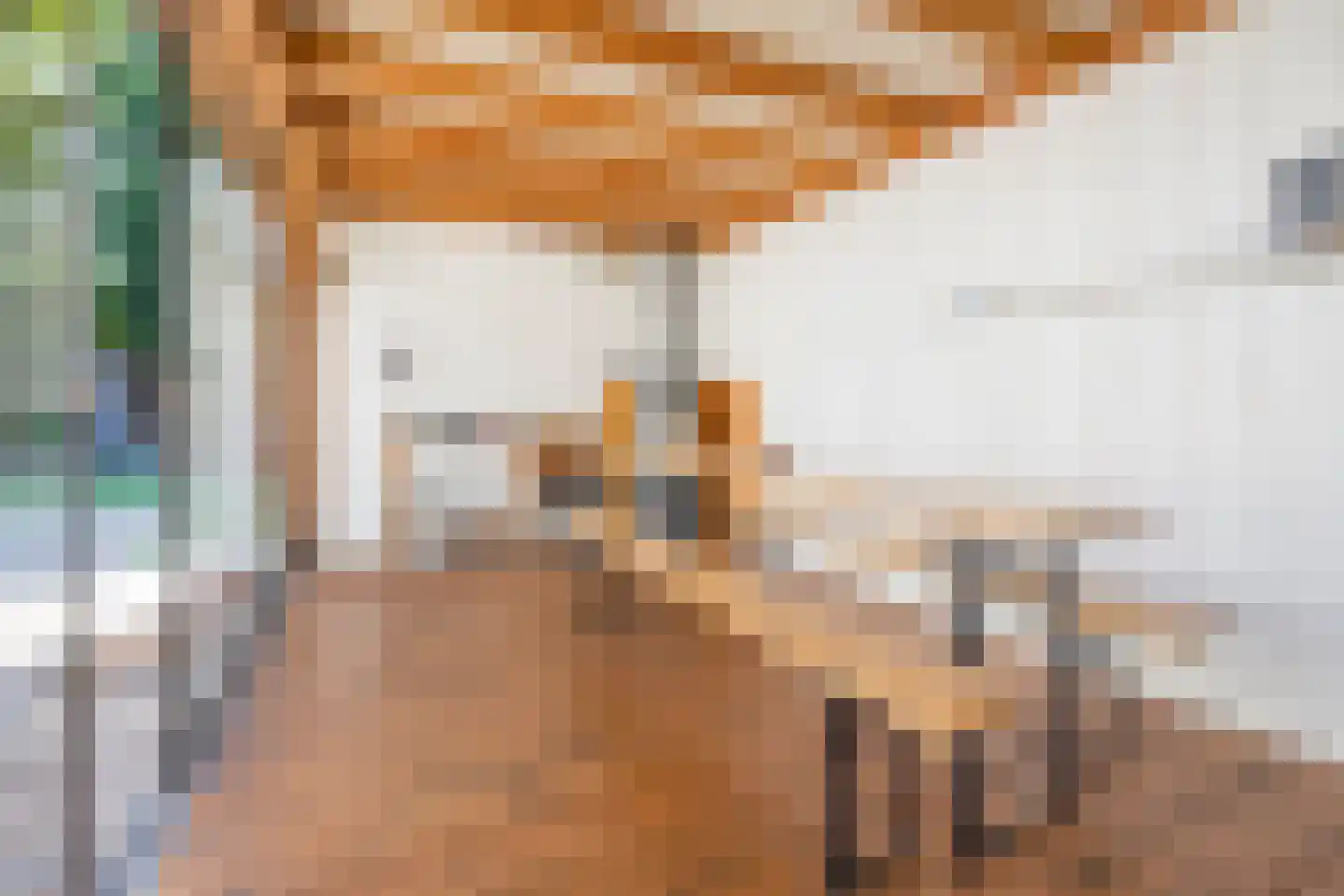 Lange Zuiderweg 150 35 Voorthuizen thumbnail 13