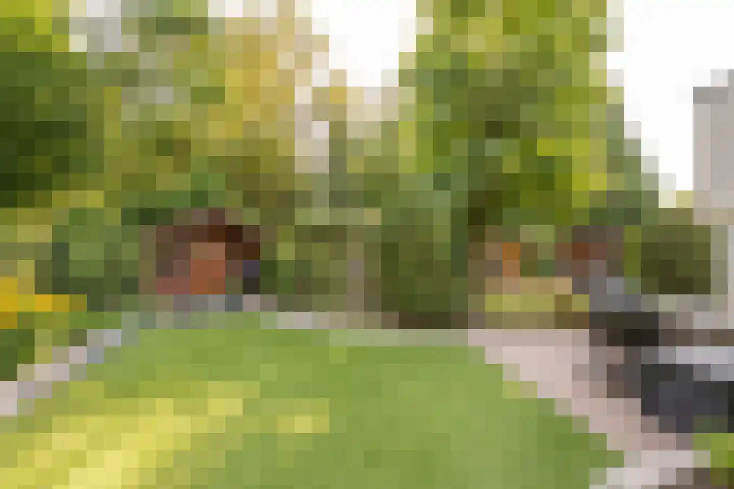 Lange Zuiderweg 150 35 Voorthuizen thumbnail 24
